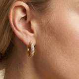 Pavé Chunky Hoops Gold